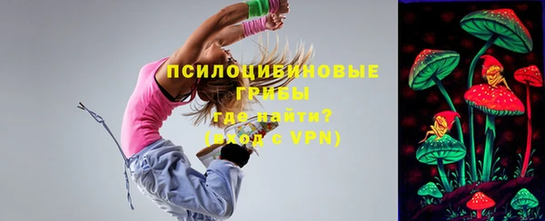 ешки Богданович