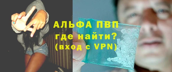 ешки Богданович