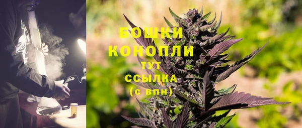 ешки Богданович